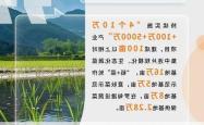 贵阳多项政策落地，“精准滴灌”激发新动能